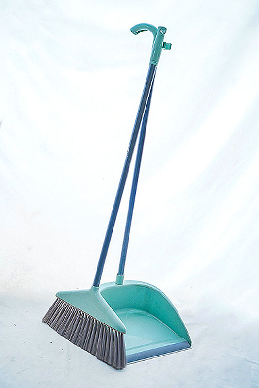 dustpan with long handle
