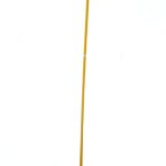 golden sweeper italy