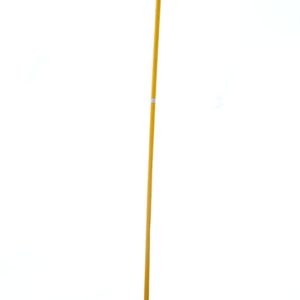 Golden Sweeper Italy