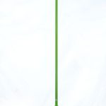 hard brush with squeegee